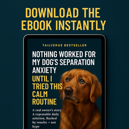 Nothing Worked — Until This Calm Routine